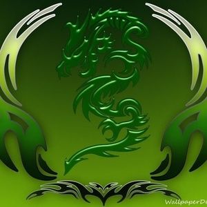 Meet your Posher, Shelly